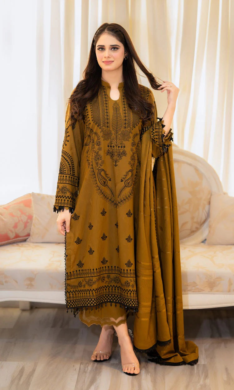 NAYYAB-HEAVY FANCY PAIR WITH DUPATTA SET