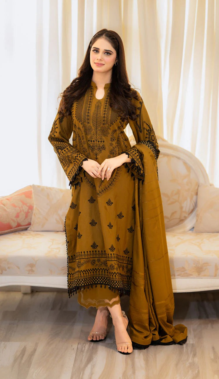 NAYYAB-HEAVY FANCY PAIR WITH DUPATTA SET